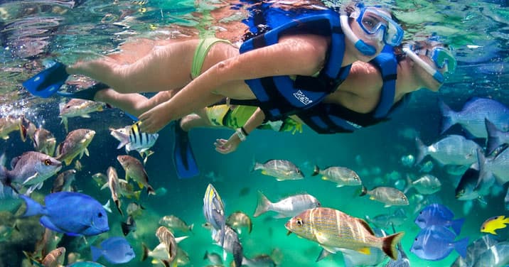 Jungle Tour Snorkel — photo 2